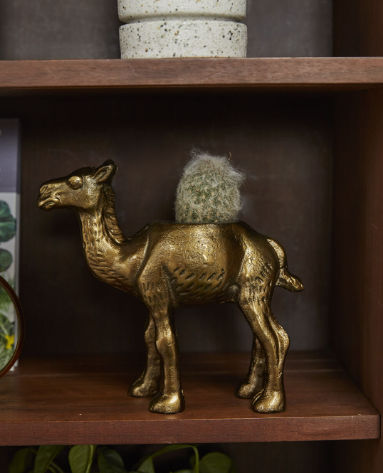 Camel Planter