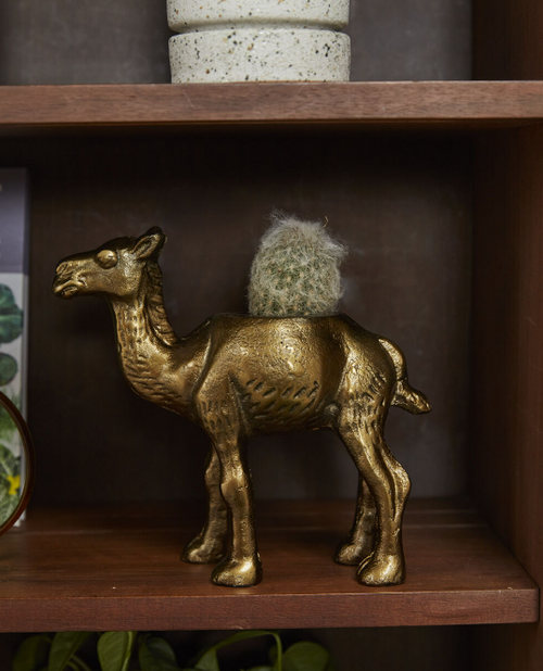 Camel Planter