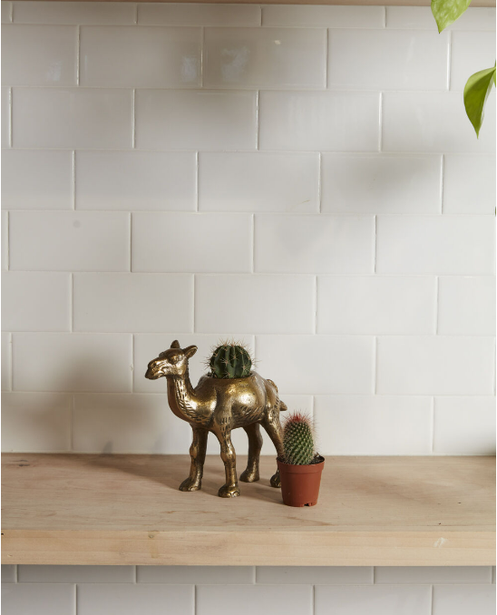 Camel Planter