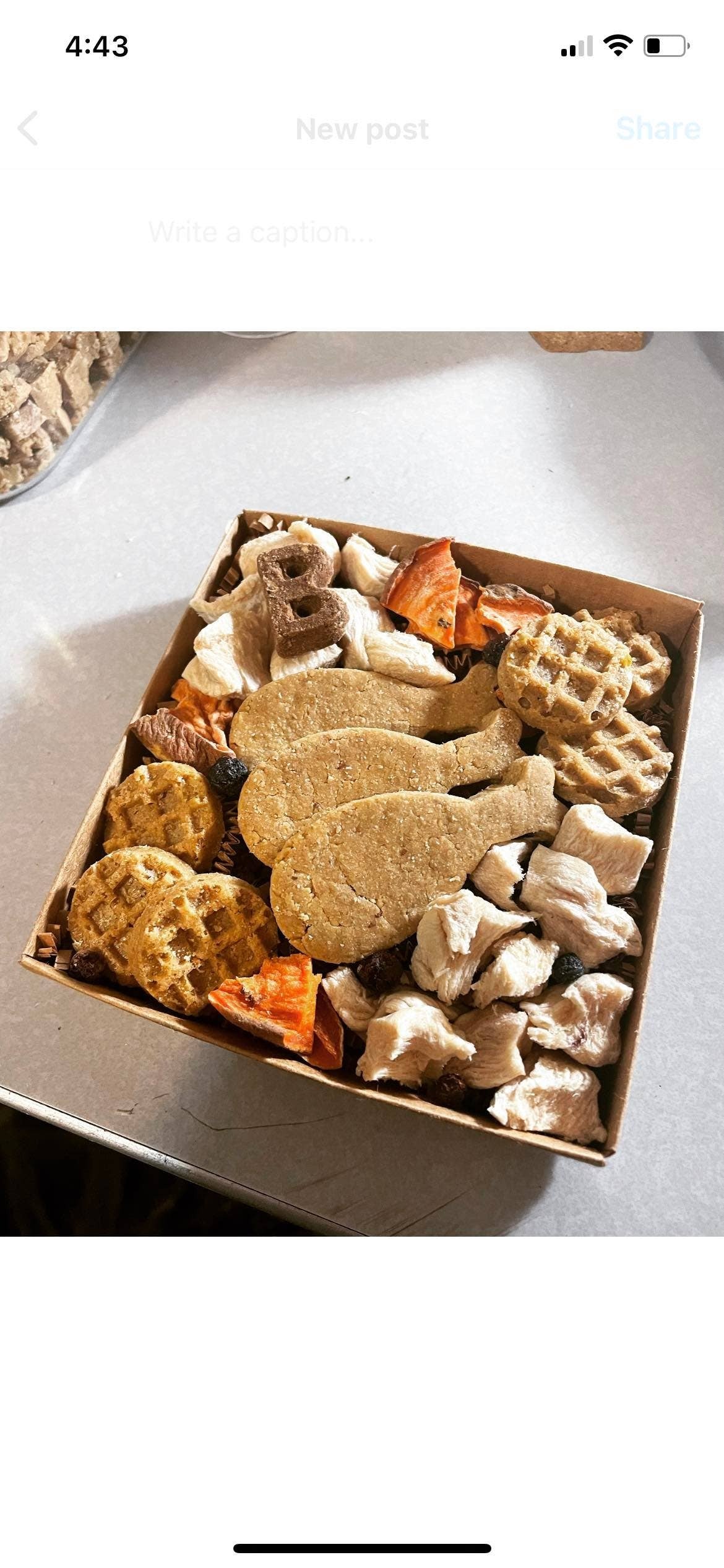 Bucho's Barkery - Chicken & Waffles Regular